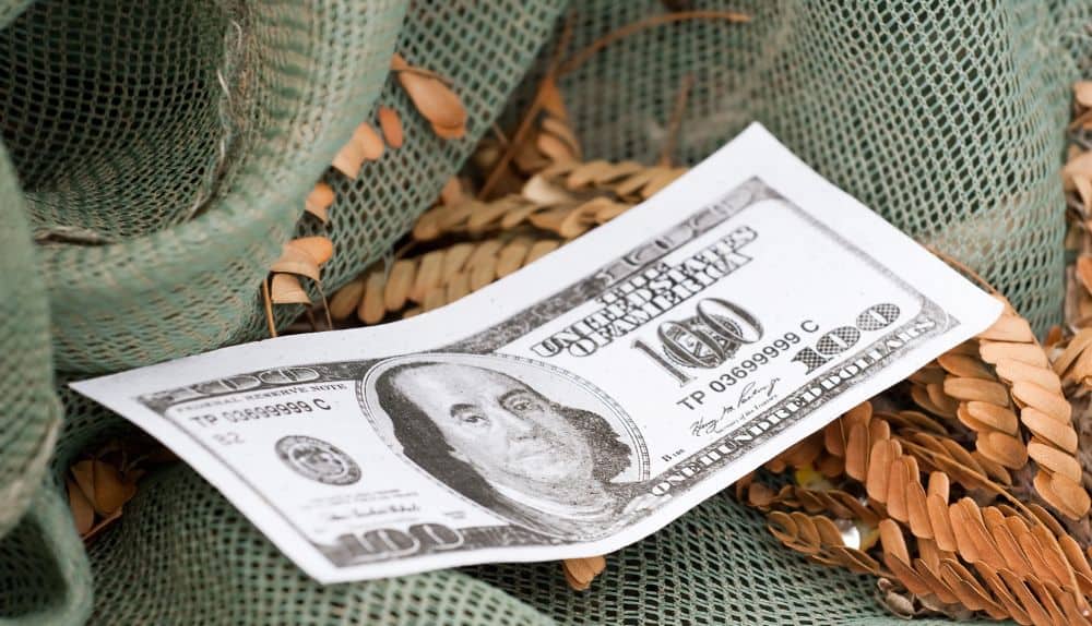 What Should You Do if You Think You Have a Fake Bill?