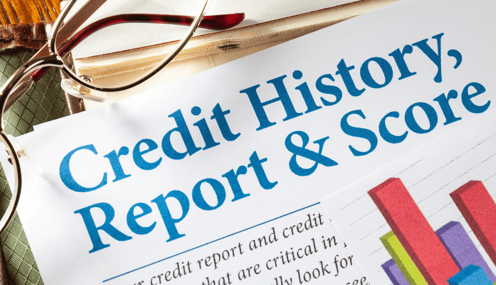 Credit History Report