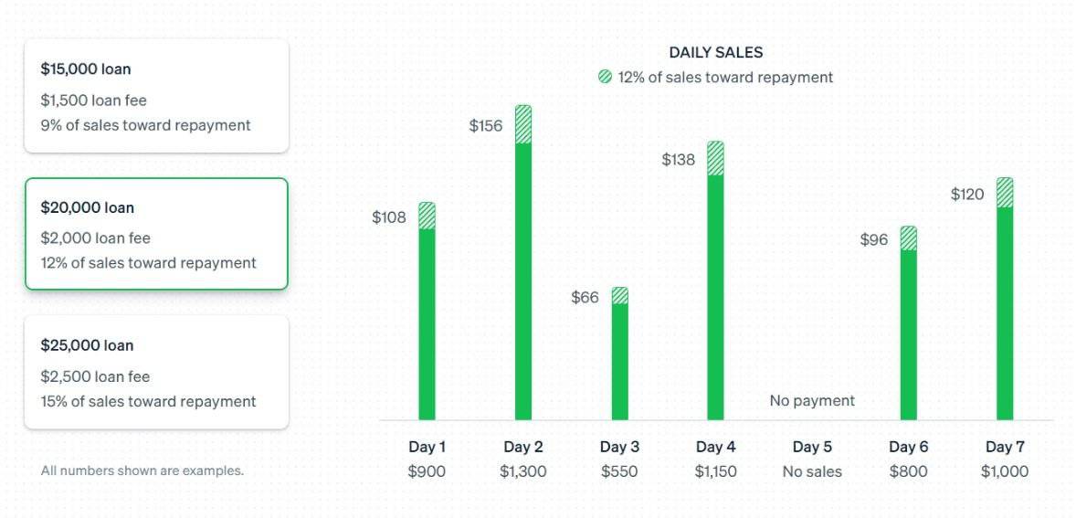 Repayment And Pricing Structure of stripe loans
