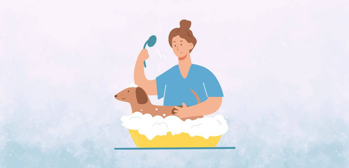 Veterinary Merchants