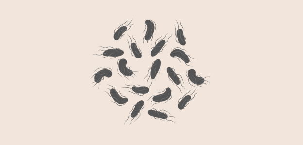 E coli Outbreak Associated With McDonald's Quarter Pounders