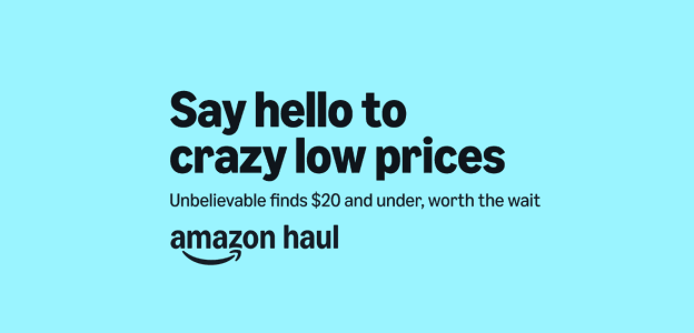 The Wait Is Over: Amazon’s Discounted Storefront Haul Has Arrived!