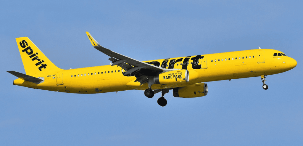 What Happens to Already Booked Flights?